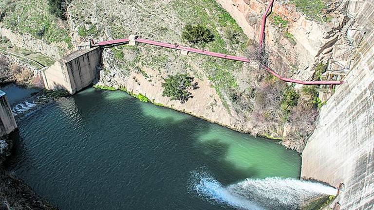 Los olivareros ya esperan la mitad de agua para el riego