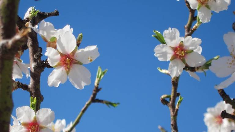 Así será la primavera, según la Aemet