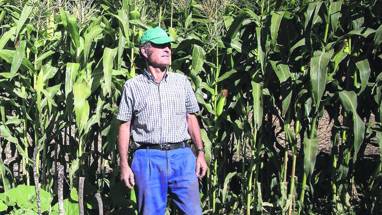 El “Gorila” de Periche