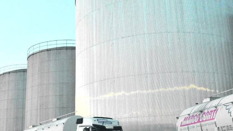 EE UU cierra sus fronteras para el aceite de olivares enfermos