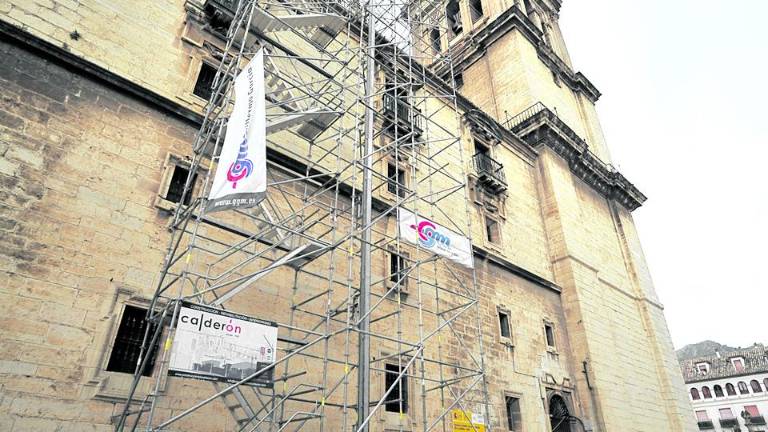 El cernícalo dispone del 80% de la techumbre de la Catedral para anidar