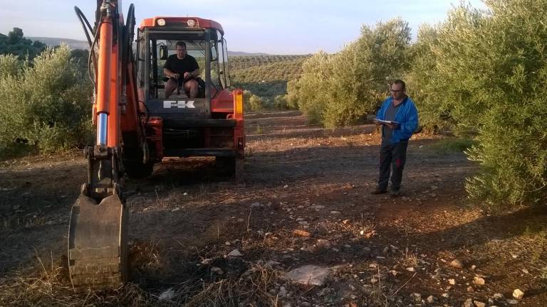 La comarca de la tierra roja presume hoy en su fiesta