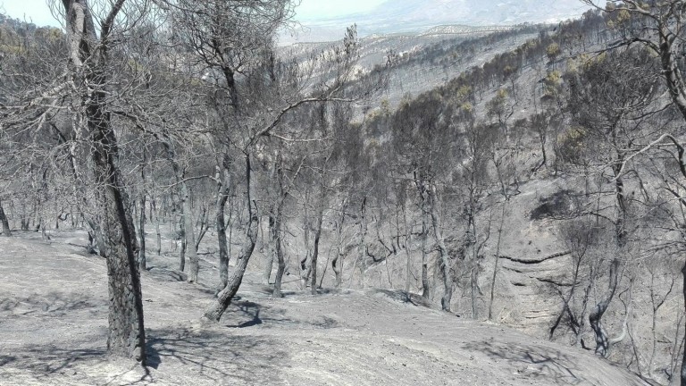 Medio Ambiente prohibe las barbacoas y quemas agrícolas durante verano