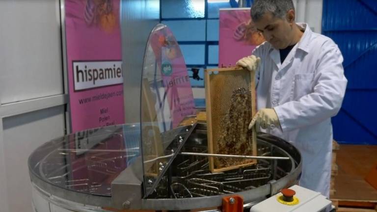 Gentes y lugares que regalan su grandeza al mar de olivos