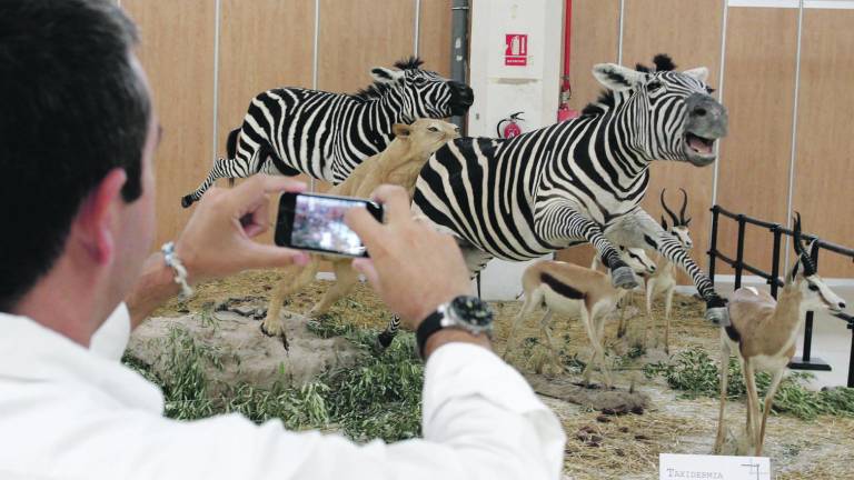 Aniversario con futuro