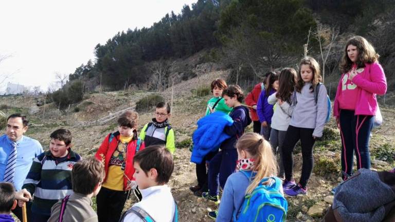 Bosques protegidos