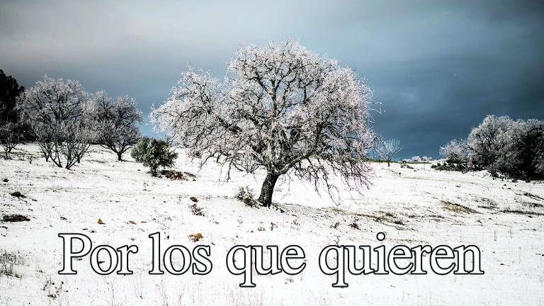 Una felicitación de Año Nuevo que se hace viral viral en redes sociales