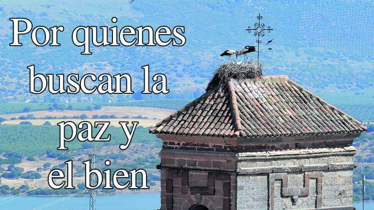 Una felicitación de Año Nuevo que se hace viral viral en redes sociales