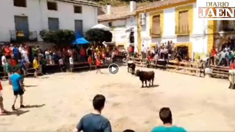 DIARIO JAÉN DIRECTO - Encierro desde Santiago de la Espada