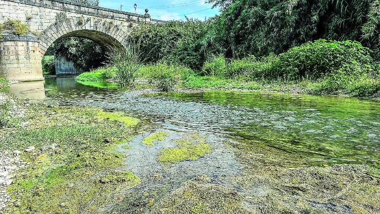 Llega la Mesa del Guadalbullón