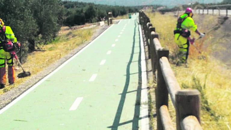 Limpieza de la maleza en el carril bici