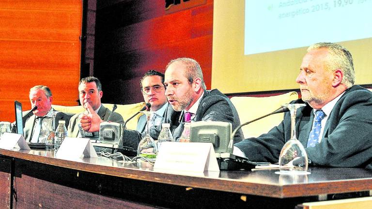 Un exhaustivo análisis del sector oleícola internacional