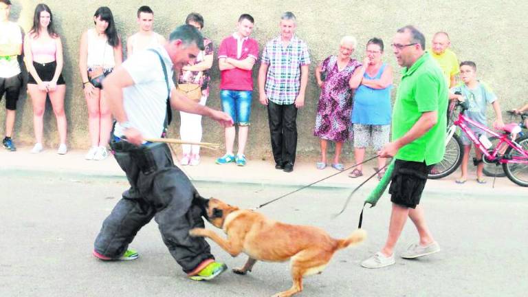 La Manseguilla vive “su momento”