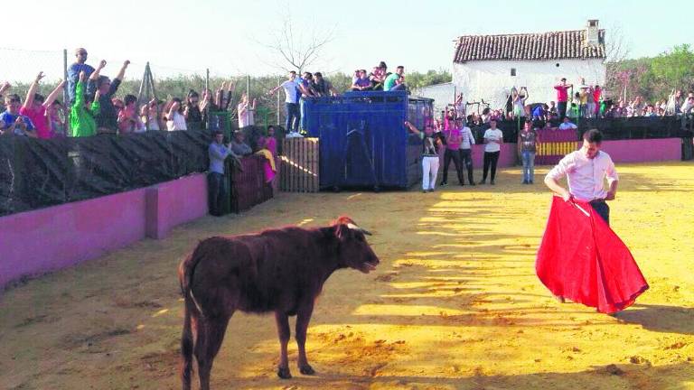 Suelta de vaquillas en San José de la Rábita