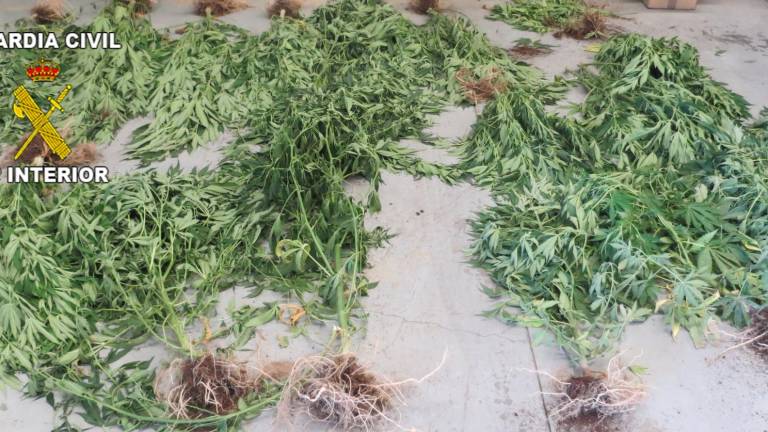 Dos detenidos en Alcaudete por vender marihuana